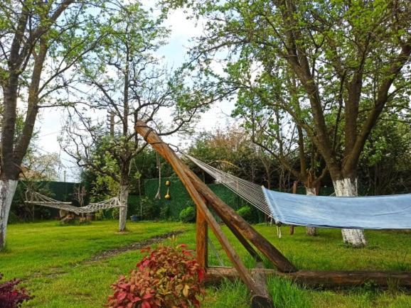 Villa Atlas Muhafazakar Havuzlu, Mustakil Genis Bahceli Sapanca Exteriér fotografie