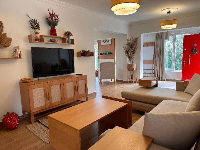 Villa Atlas Muhafazakar Havuzlu, Mustakil Genis Bahceli Sapanca Exteriér fotografie
